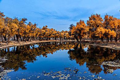 《永恒寒冬》水系统3.0版CG宣传片：弱肉强食适者生存